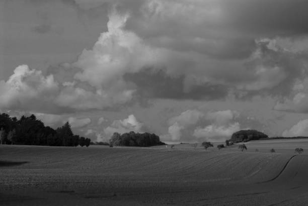 istock Black and white landscape photo with trees, field, sky. Germany 1137758648