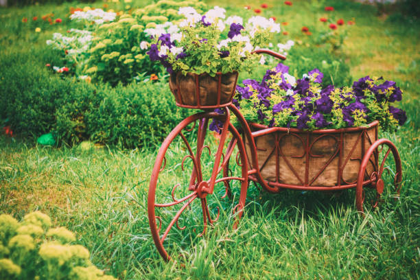 bicicleta em um jardim - 6139 - fotografias e filmes do acervo