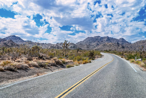istock The Road Through Joshua 1137760692