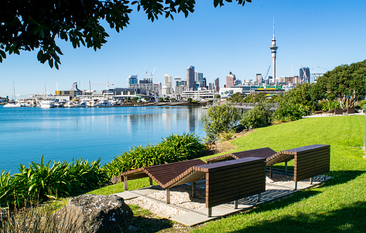 Wooden Benches in Waterfront Park (near harbor), with a view of  Auckland's modern skyline- Auckland, New Zealand