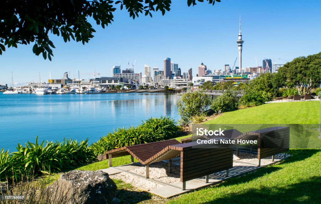 Public Park by Harbor, with a Stunning View of Downtown Auckland, New Zealand Wooden Benches in Waterfront Park (near harbor), with a view of  Auckland's modern skyline- Auckland, New Zealand Auckland Stock Photo