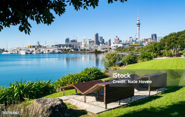 Public Park By Harbor With A Stunning View Of Downtown Auckland New Zealand Stock Photo - Download Image Now