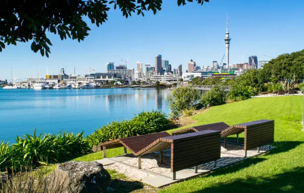 Wooden Benches in Waterfront Park (near harbor), with a view of  Auckland's modern skyline- Auckland, New Zealand