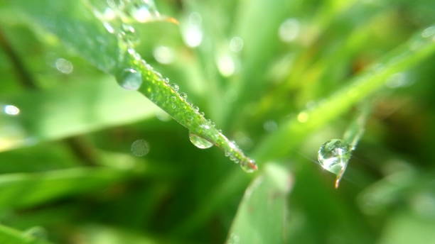 istock grains of crystal water 1137762206