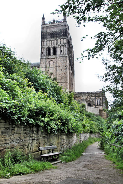 A picture of Durham Cathedral A picture of Durham Cathedral norman uk tree sunlight stock pictures, royalty-free photos & images