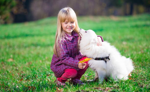 istock Girl, dog, fun, forest 1137763171