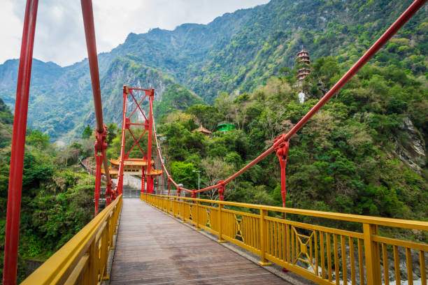 Bridge - Red bridge in the forest