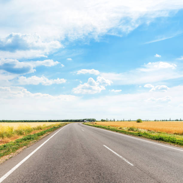 istock asphalt road to horizon in field and clouds over it 1137765744