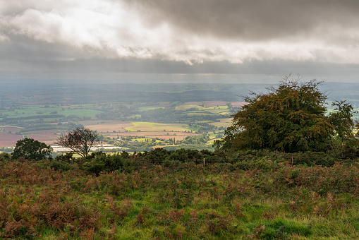 A view from Leith Hill in Surrey towards the South Downs in West Sussex on a grey autumn day.