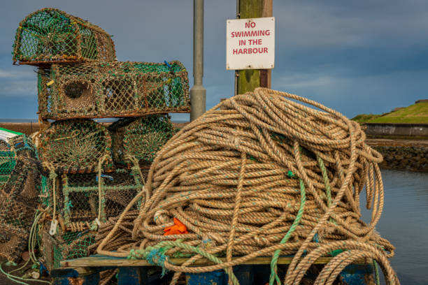 istock Sign: No swimming in the harbour - and some fish traps 1137767143