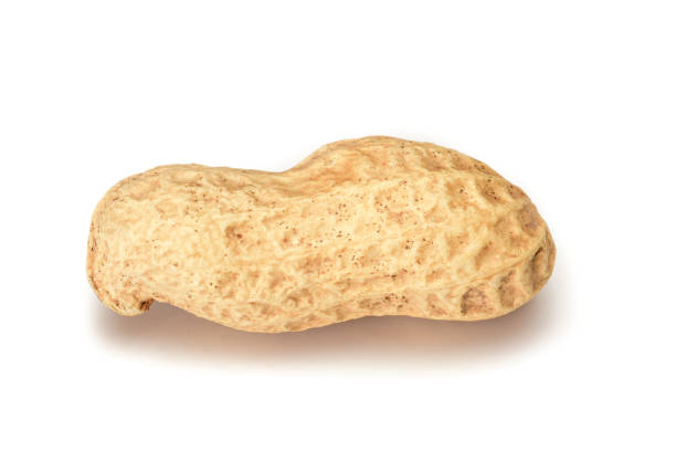 istock Peanuts. Whole nut isolated on white background with shadow. Peanut macro close up. Full depth of field. 1137767668