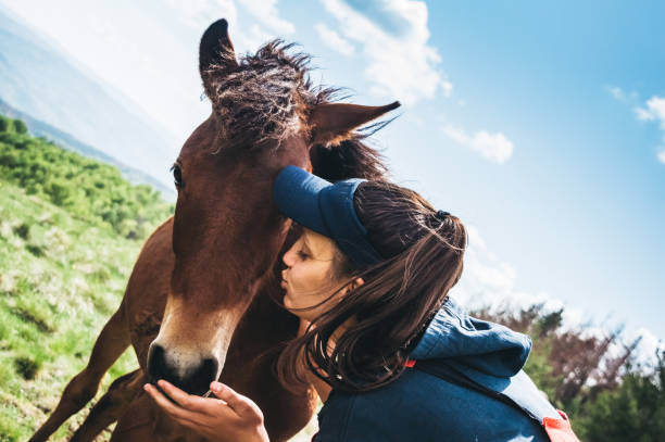 istock Cowgirl with foal 1137770841