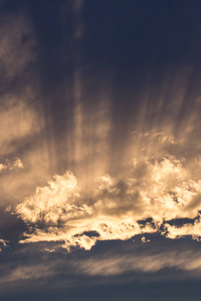 istock Shafts of sunlight, evening, sunset 1137771716