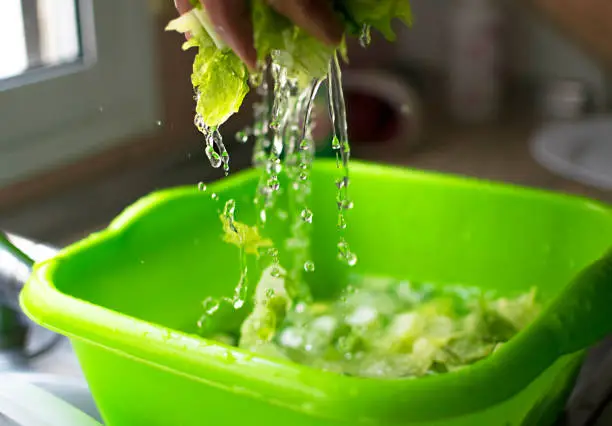 Photo of Washed and sanitized lettuce. Drops of water and pieces of lettuce in motion