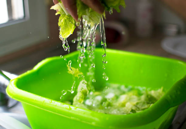 вымытый и дезинфицированный салат. капли воды и кусочки салата в движении - ground healthy eating colors liquid стоковые фото и изображения