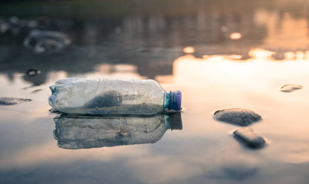 istock Environmental pollution: plastic bottle on the beach. 1137773212