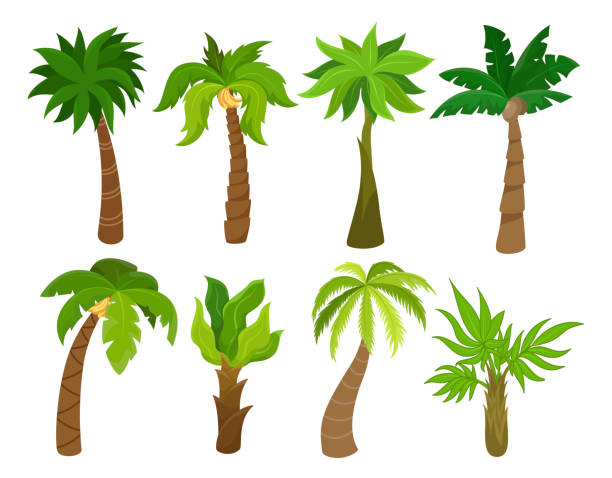 ilustrações de stock, clip art, desenhos animados e ícones de tropical palm trees set, beach and nature concept - pattern illustration and painting backgrounds seamless