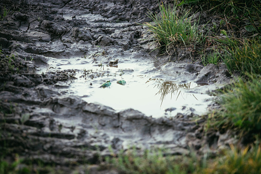 Puddle of mud on field, water