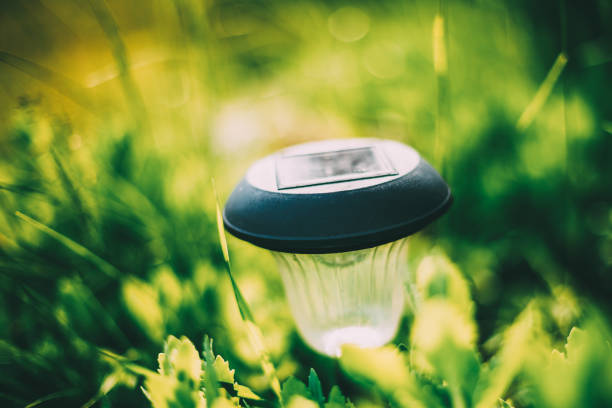 istock Small Solar Garden Light, Lantern In Flower Bed. Garden Design. Solar Powered Lamp 1137778378