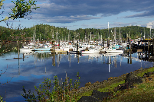 various boats at dock in Port Hardy BC