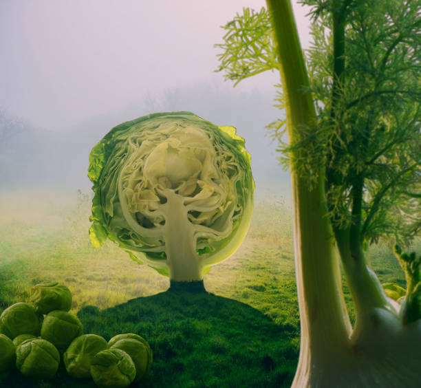 Surreal giant green vegetables in sunset field