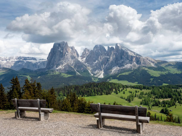 istock Benches and Sassolungo Group Dolomites from Alpe di Siusi, Italy 1137782497