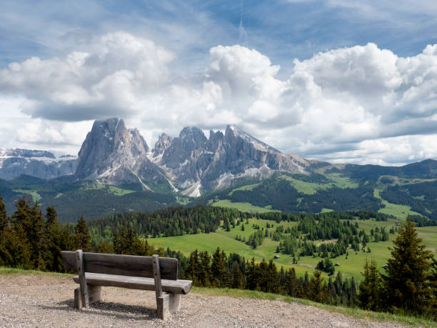istock Bench and Sassolungo Group Dolomites from Alpe di Siusi, Italy 1137782551
