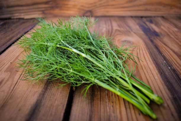 istock green dill on the wood table 1137782631