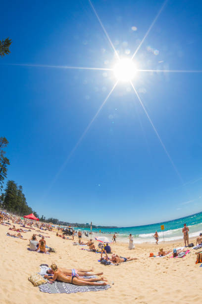 맨리 비치, 시드니, 호주 - manly beach summer beach pacific ocean 뉴스 사진 이미지