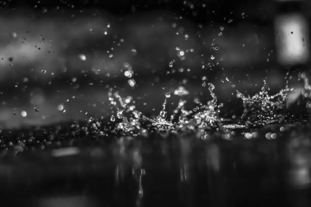 istock Water drops in the dark outside. Black and white. 1137788553