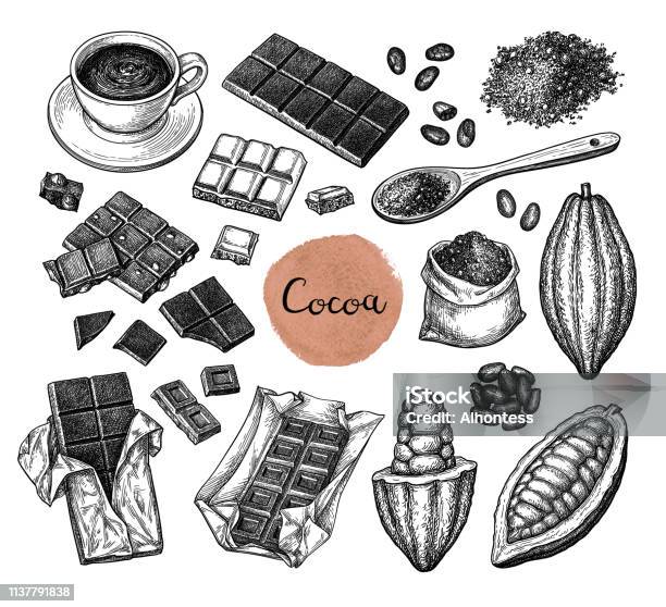 Kakao Stor Uppsättning-vektorgrafik och fler bilder på Choklad - Choklad, Varm choklad, Kakaopulver