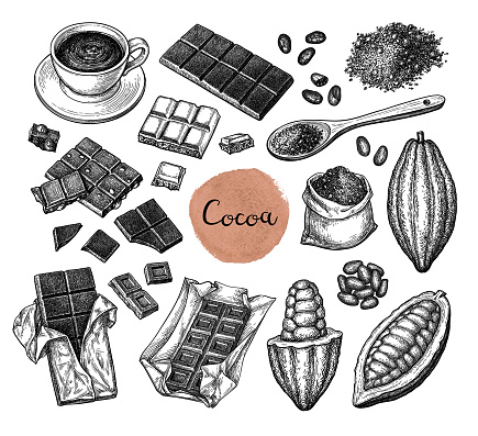 Cocoa and chocolate set. Ink sketch isolated on white background. Hand drawn vector illustration. Retro style.