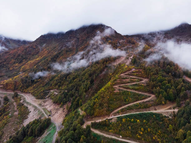 istock Aerial view of winding road 1137794842