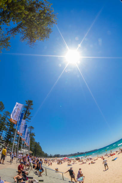 マンリービーチ, シドニー, オーストラリア - manly beach summer beach pacific ocean ストックフォトと画像