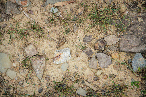Full frame image of dirt, stones and grass. This would work well as a background.