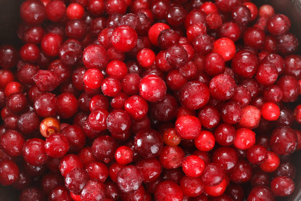 istock Frozen cowberry berries. View from above. 1137797339