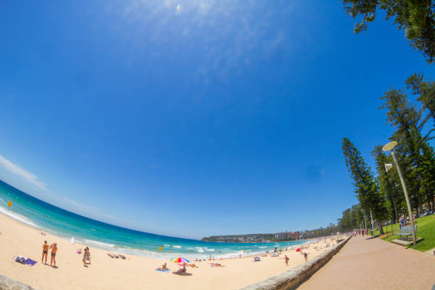 マンリービーチ, シドニー, オーストラリア - manly beach summer beach pacific ocean ストックフォトと画像