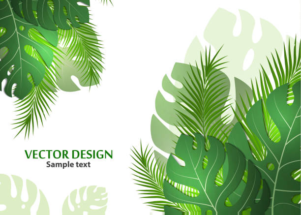 istock Vector background with tropical monster leaves and palm leaves. Bright abstract background for banner, flyer or cover with copy space for text or emblem - vector graphics 1137798716