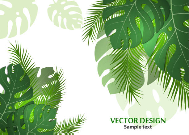istock Vector background with tropical monster leaves and palm leaves. Bright abstract background for banner, flyer or cover with copy space for text or emblem - vector graphics 1137798719
