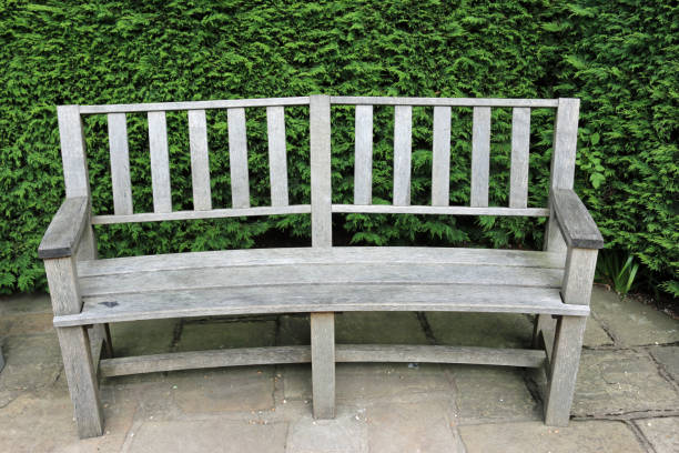 istock Park seat with conifers 1137799785