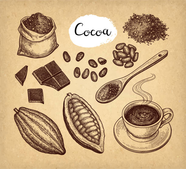 ilustraciones, imágenes clip art, dibujos animados e iconos de stock de set de cacao y chocolate. - chocolate cocoa hot chocolate backgrounds