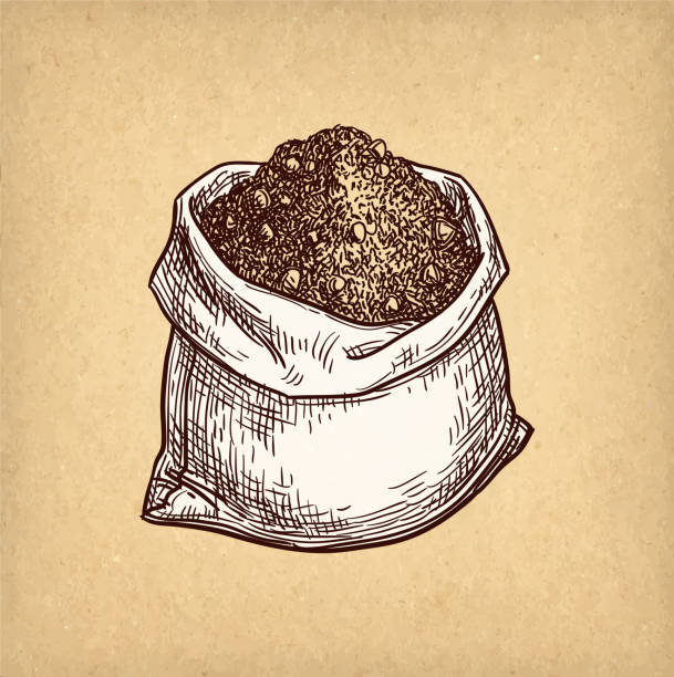 ilustraciones, imágenes clip art, dibujos animados e iconos de stock de boceto de tinta de cacao. - coffee bean coffee crop heap backgrounds