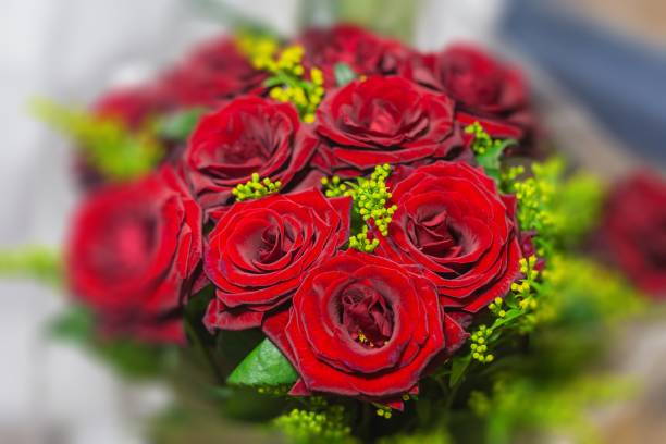 istock bouquet of red roses 1137800989