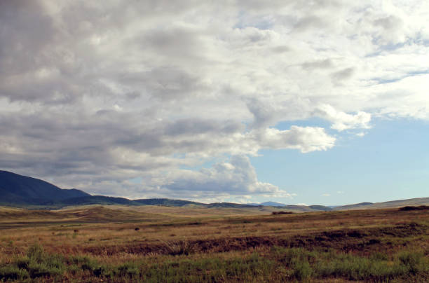 istock Wide steppe with yellow grass under a blue sky with white clouds Sayan mountains Siberia Russia 1137802277