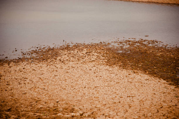 istock Dried soil surface around a lakeshore area 1137804432