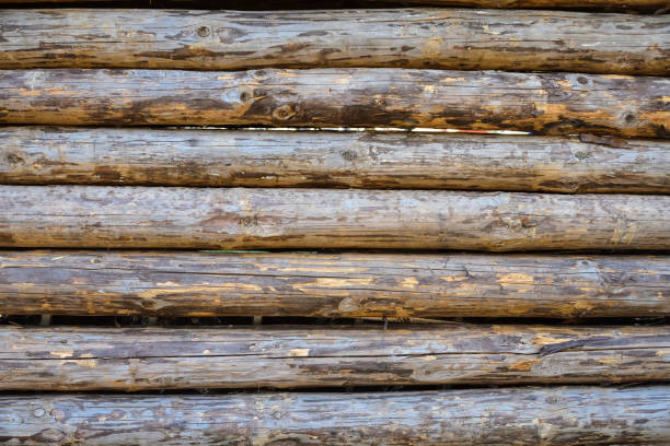 istock background and texture of wooden logs 1137806190