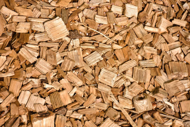 istock wood sawdust, sawdust texture 1137806207