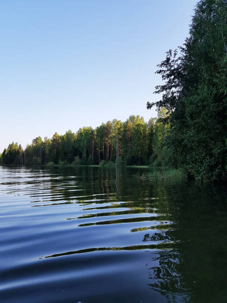istock Landscape with lake and forest. 1137806420