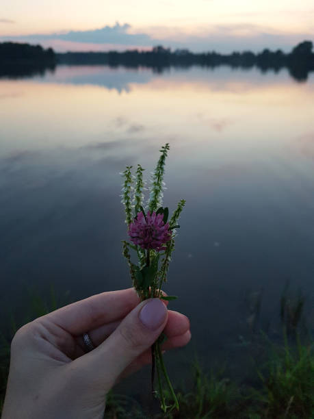istock Small bouquet of wild flowers. 1137806428