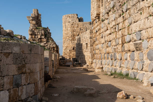 istock Saida Crusader Castle, Lebanon 1137807852